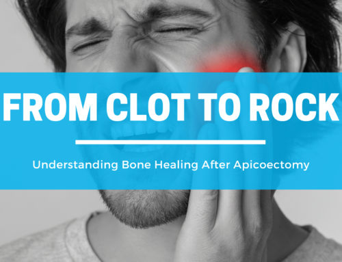 From Clot to Rock: Understanding Bone Healing after Apicoectomy