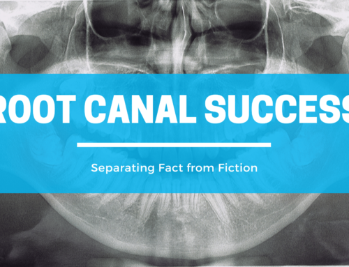 Root Canal Success: Separating Fact from Fiction