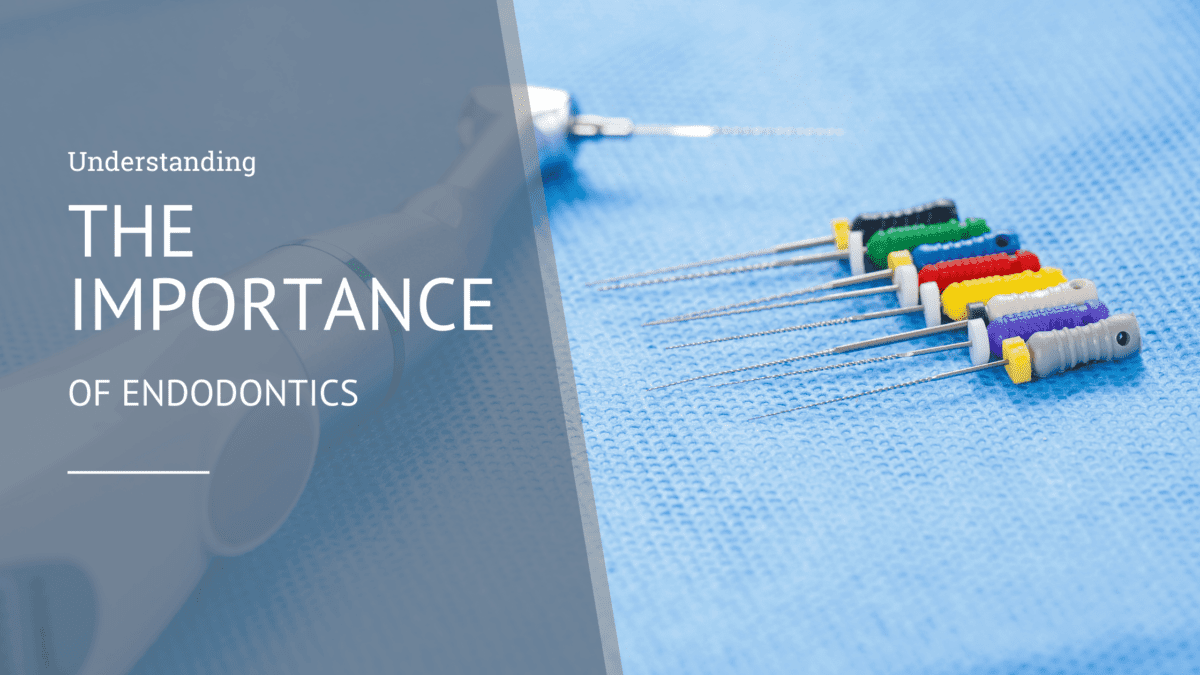 Understanding the Importance of Endodontics Blog