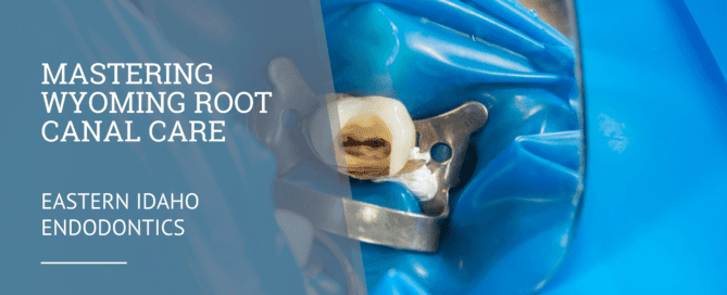 Wyoming Root Canal