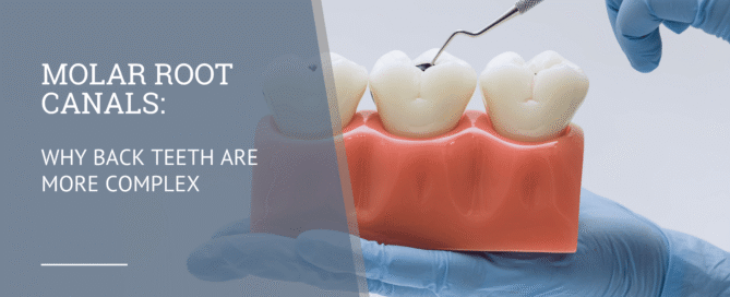 Molar Root Canals Why Back Teeth Are More Complex