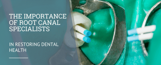 The Importance of Root Canal Specialists in Restoring Dental Health